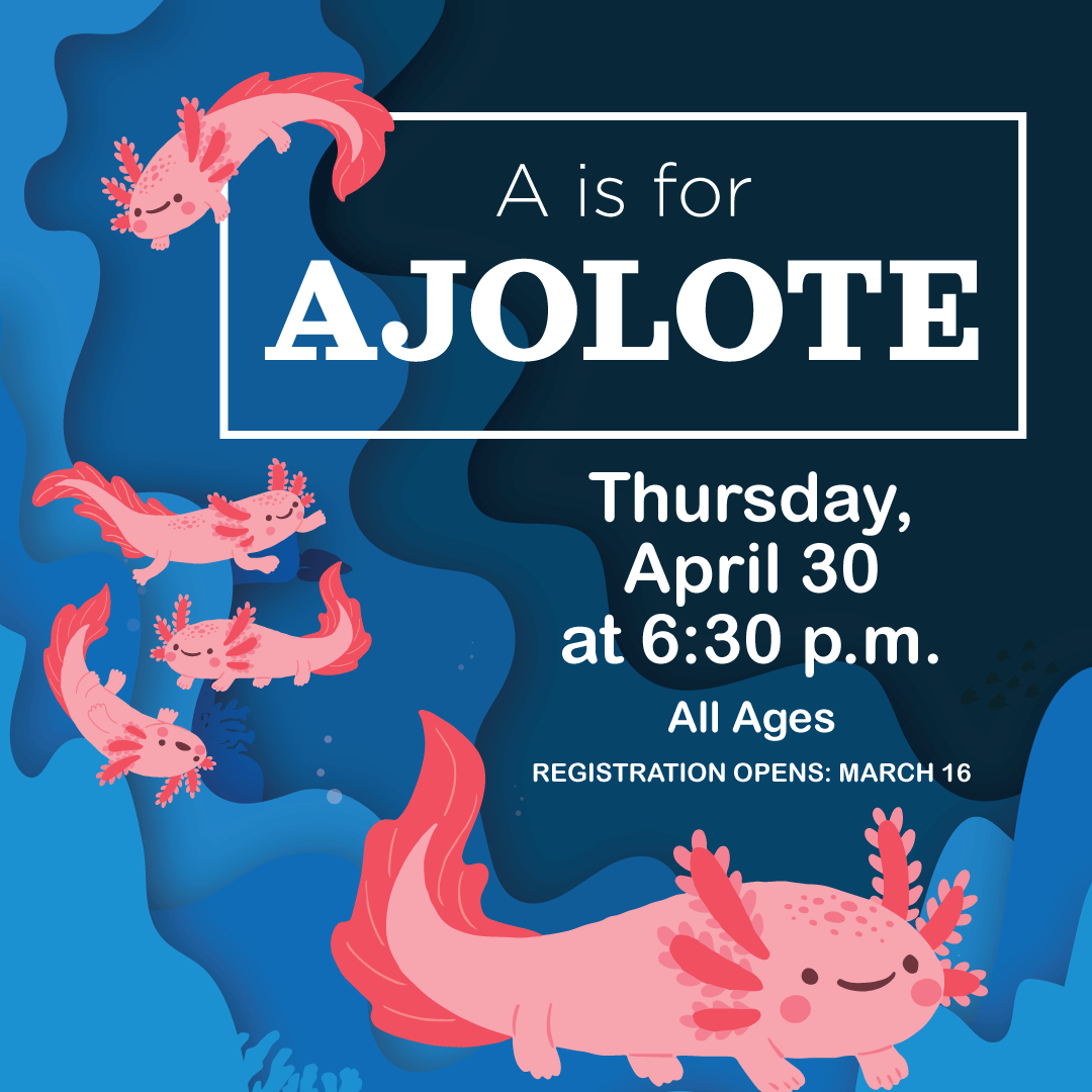 Orland Park Library tweet media