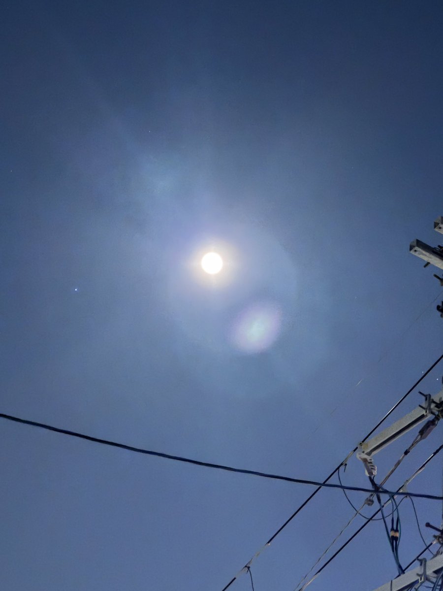 唐桃🍑2号館け13a tweet media