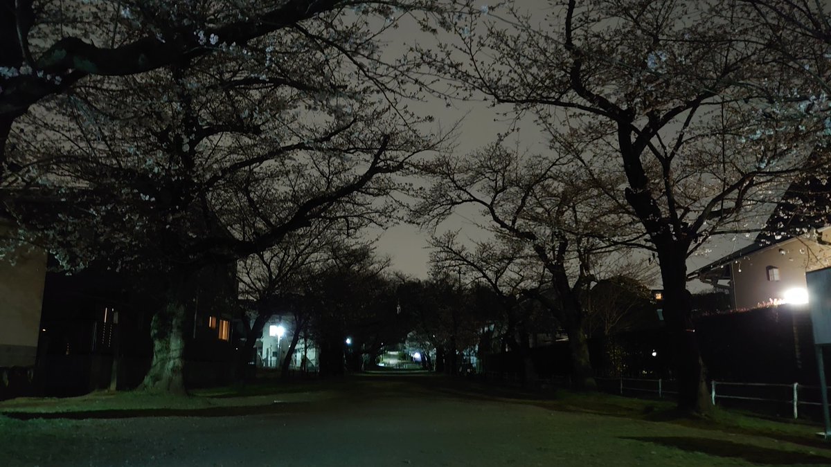 🍊オレンジ🍊 tweet media