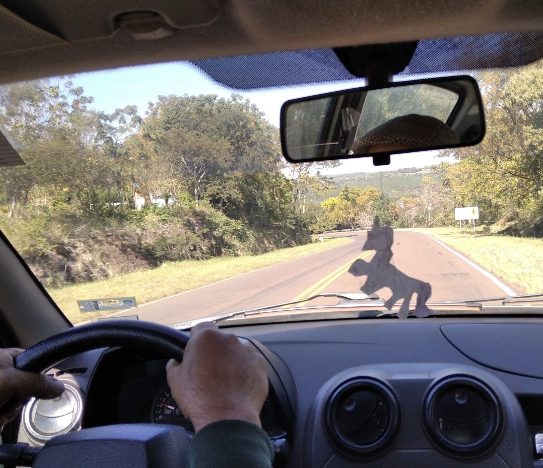 Clau🧉💚 tweet media