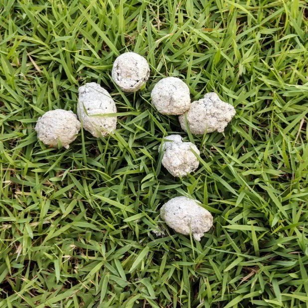 No Context Brits tweet media