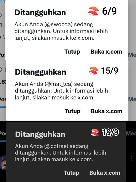 𝙻 𝚘 𝚗 𝚊 𝚕 𝚞 𝚗 𝚎 ꕤ tweet media