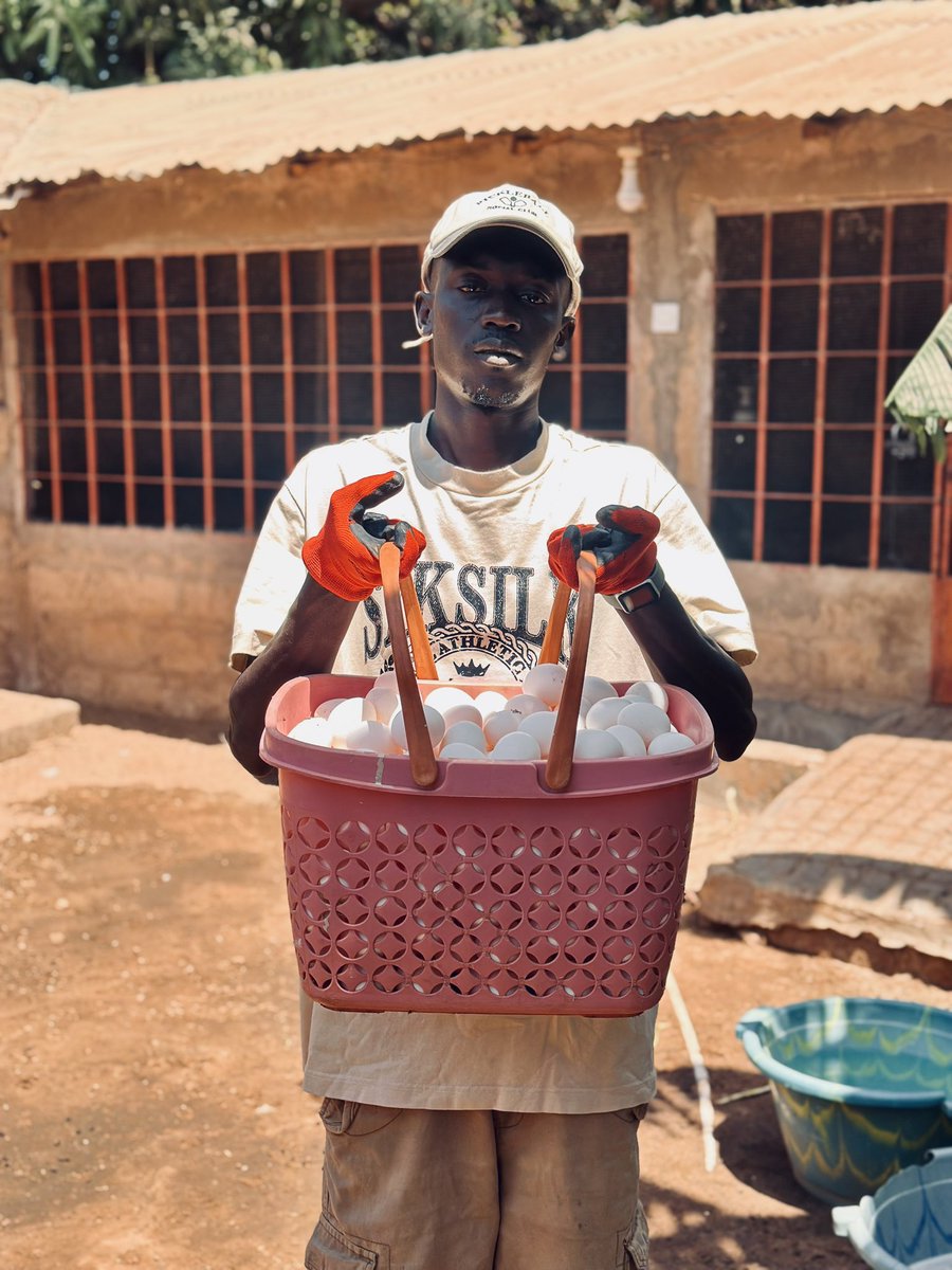 No matter your age, you’ll always wish you started younger, but today is the youngest you’ll ever be. So start today 

#badjanafarms today’s harvest