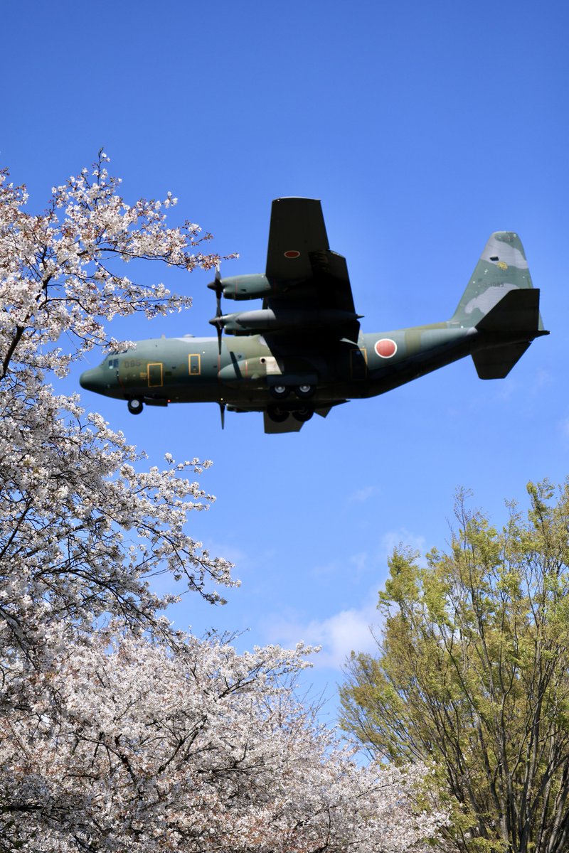 空カエル🐸 tweet media