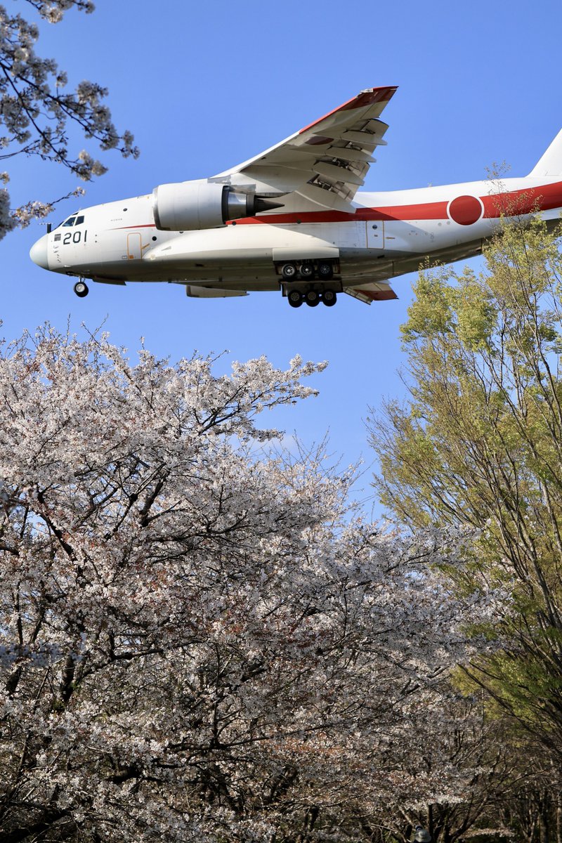 空カエル🐸 tweet media