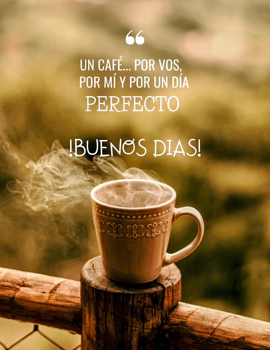 S I L ❤︎ tweet media