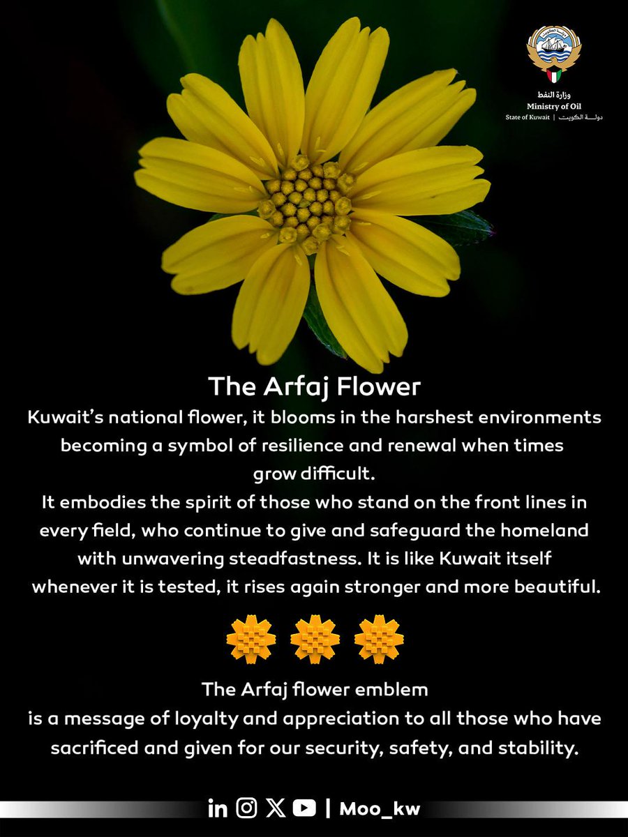وزارة النفط tweet media