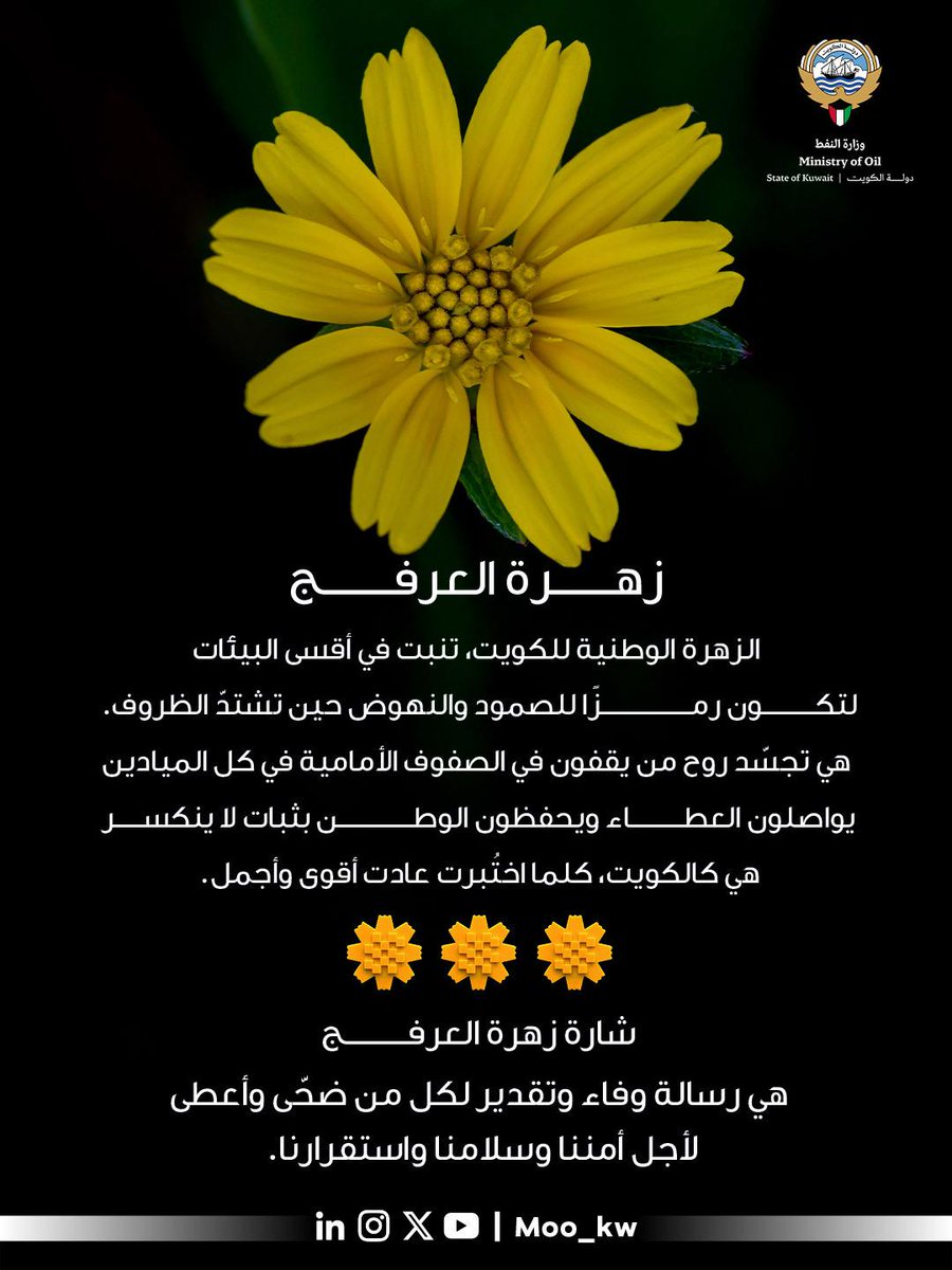 وزارة النفط tweet media