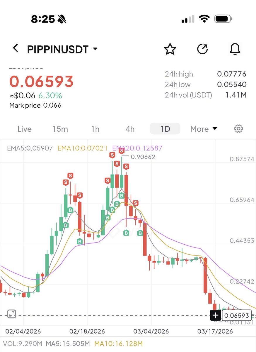 Mohamed Shamseddine tweet media