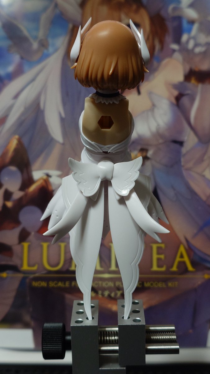 ハベル💫 tweet media