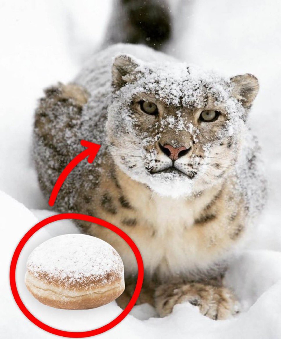 luca¹⁶ tweet media