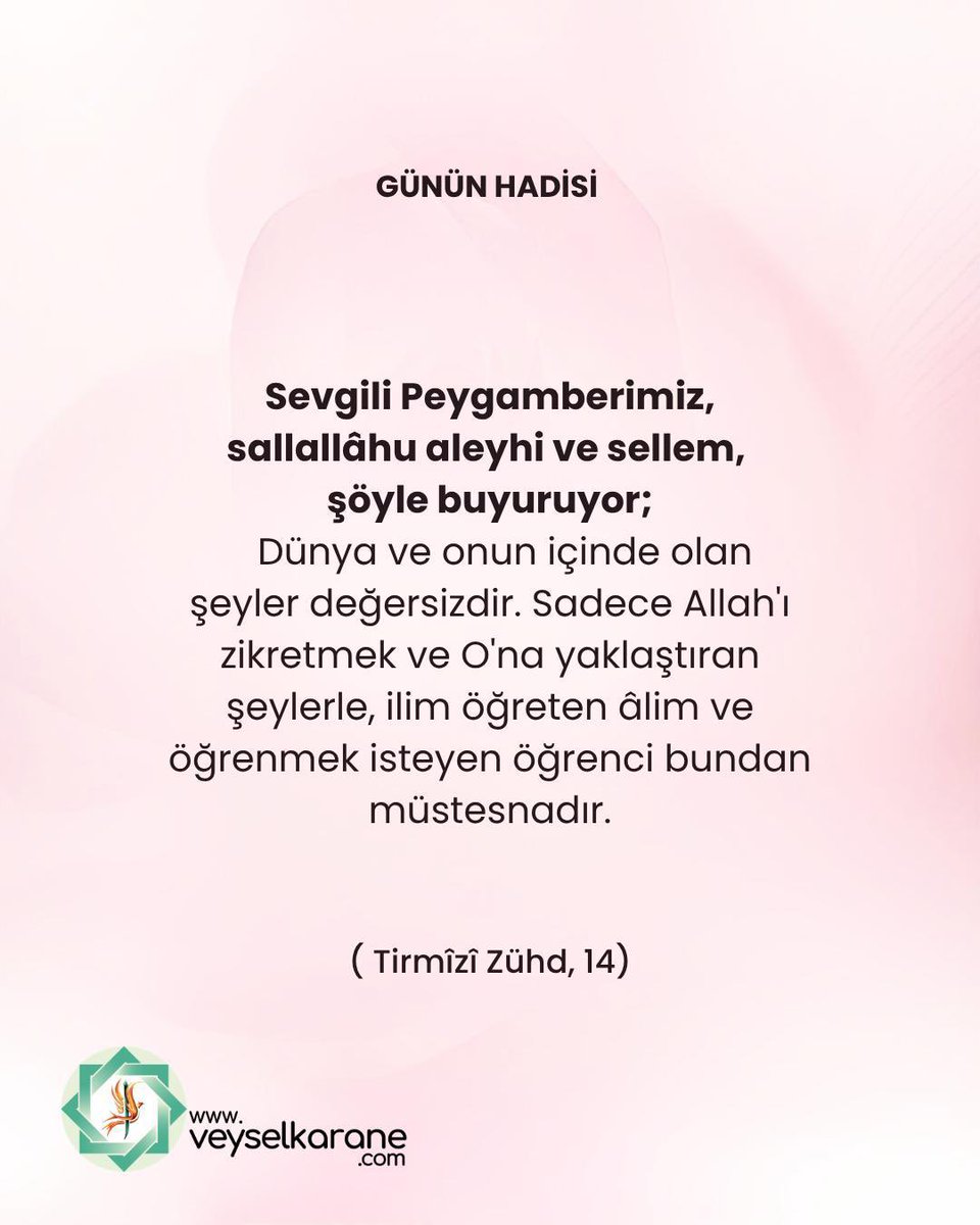 Özlem Okul tweet media