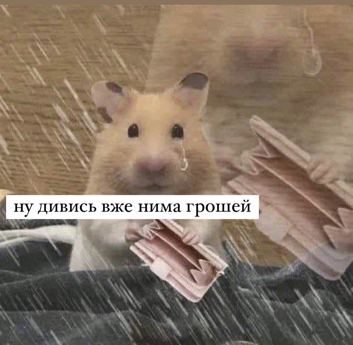 Dniprovskyi tweet media