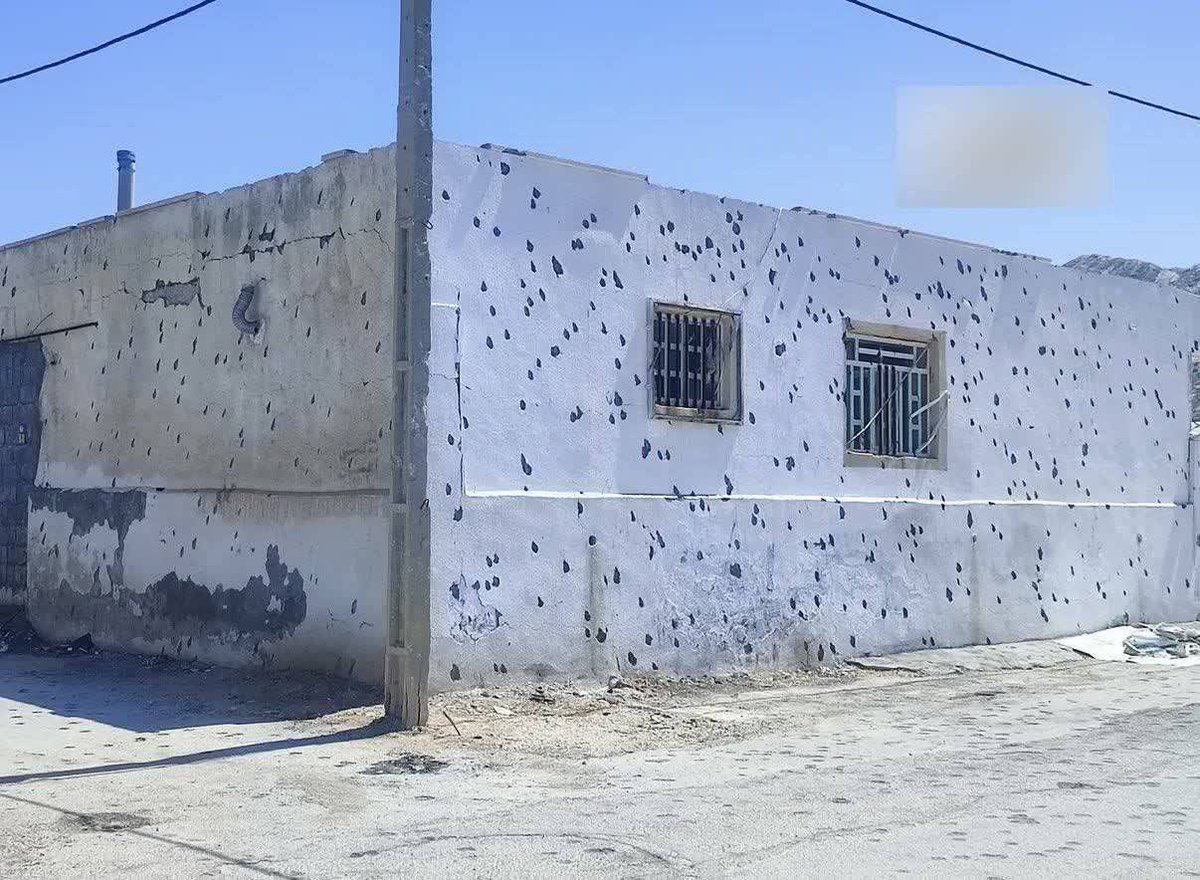 Persian Girl tweet media