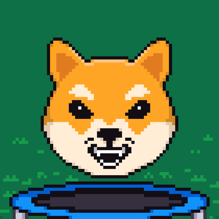 Oscar OG Shiba Inu tweet media