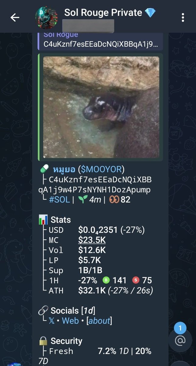 Sol Rouge tweet media