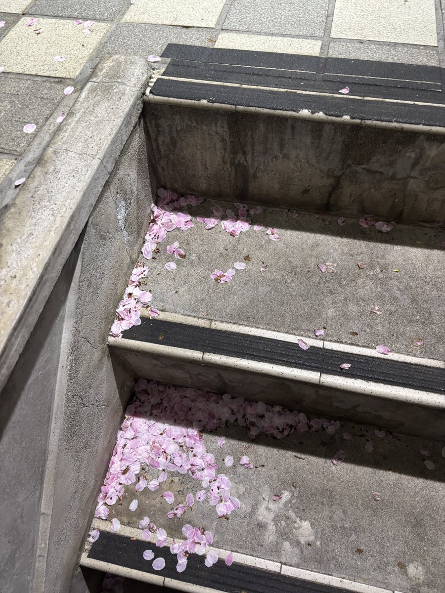 May ( ˙꒳˙ ) 🇺🇦🌻💓 tweet media