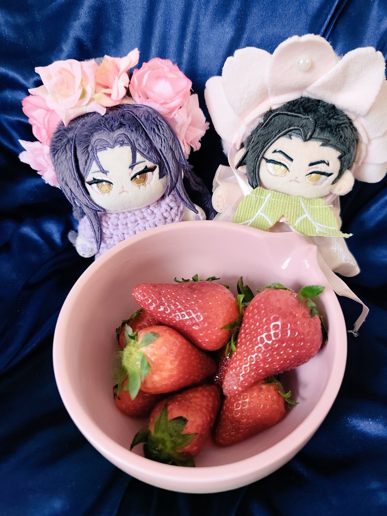 Brigi 🍵🌸 tweet media