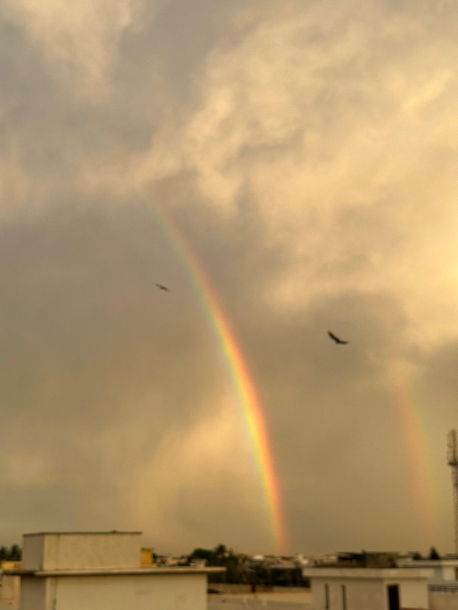 nusaiba ✮⋆˙ tweet media