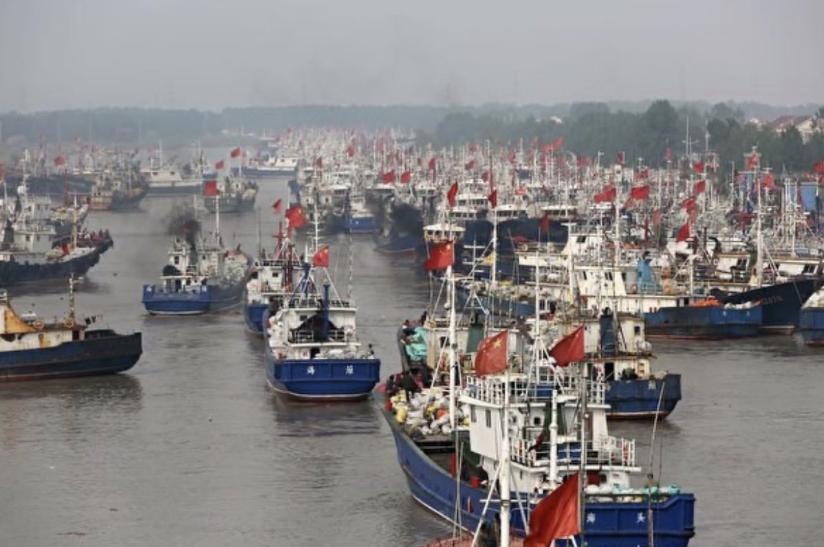 矢板明夫 tweet media