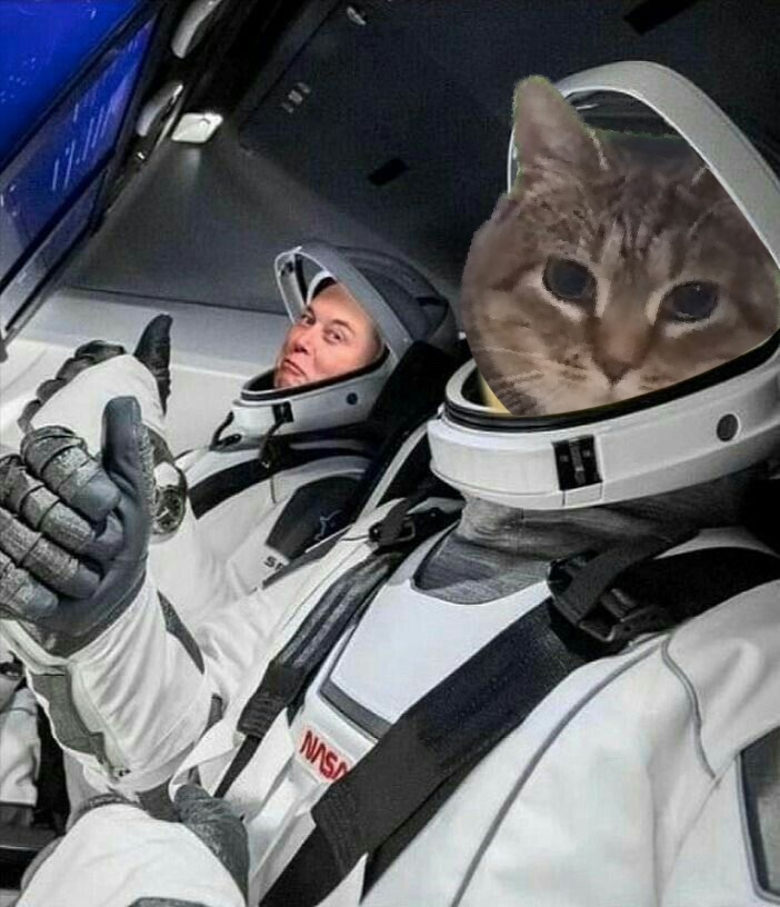 Retards and Degens (💎,💎) tweet media