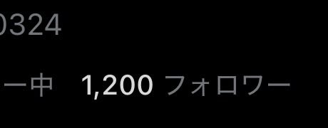 ネル子 tweet media