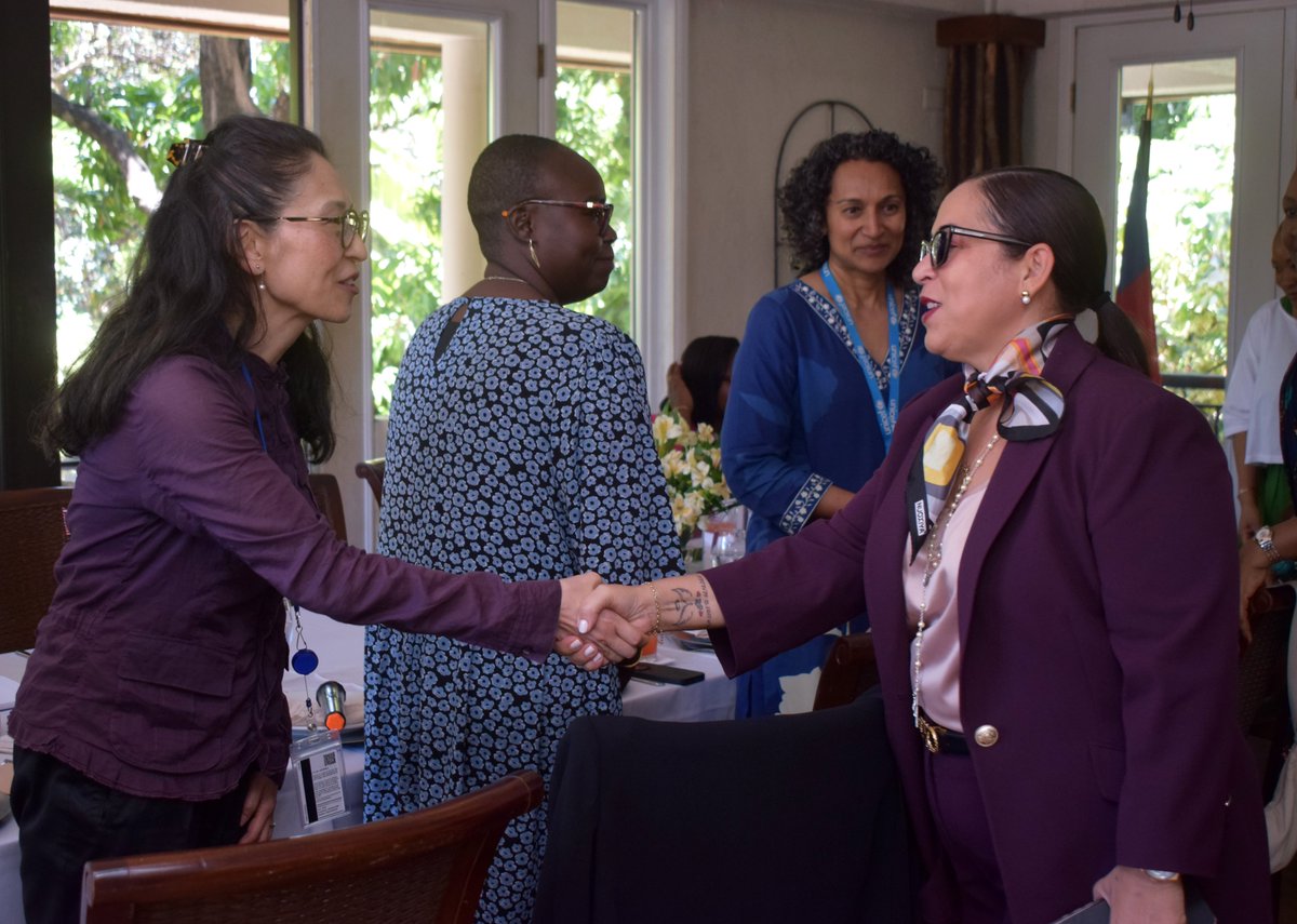 Nations Unies Haïti tweet media