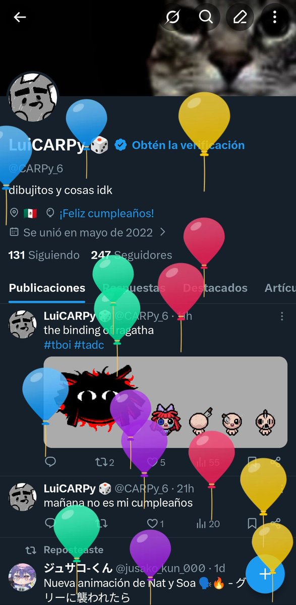 LuiCARPy 🎲 tweet media