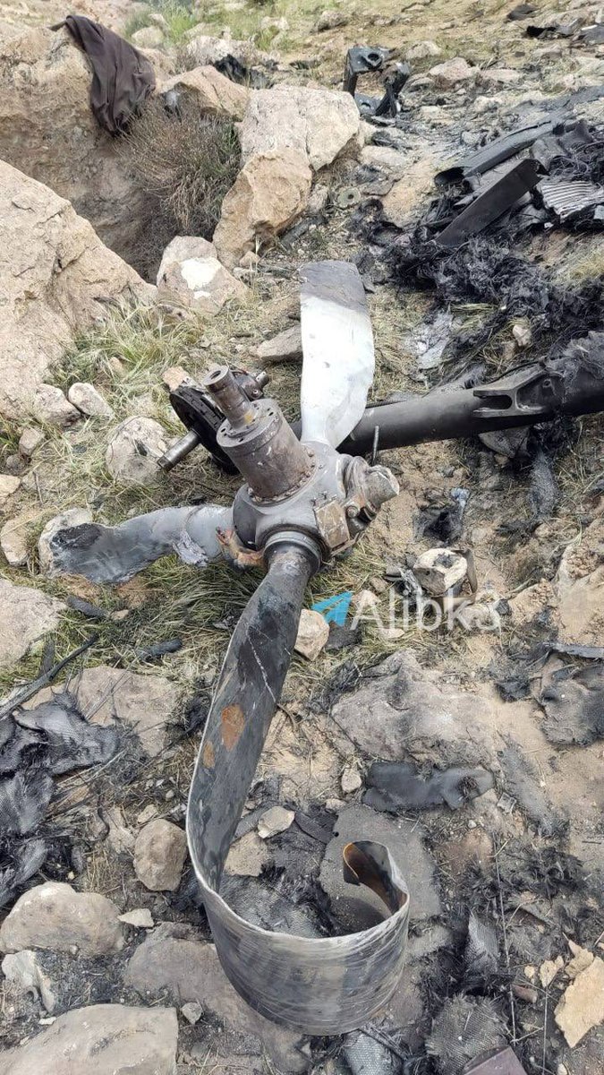 Earth Brief tweet media