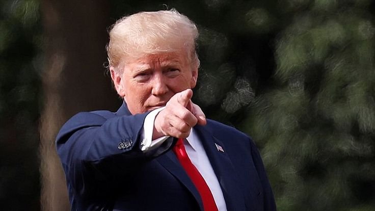 Bull Theory tweet media