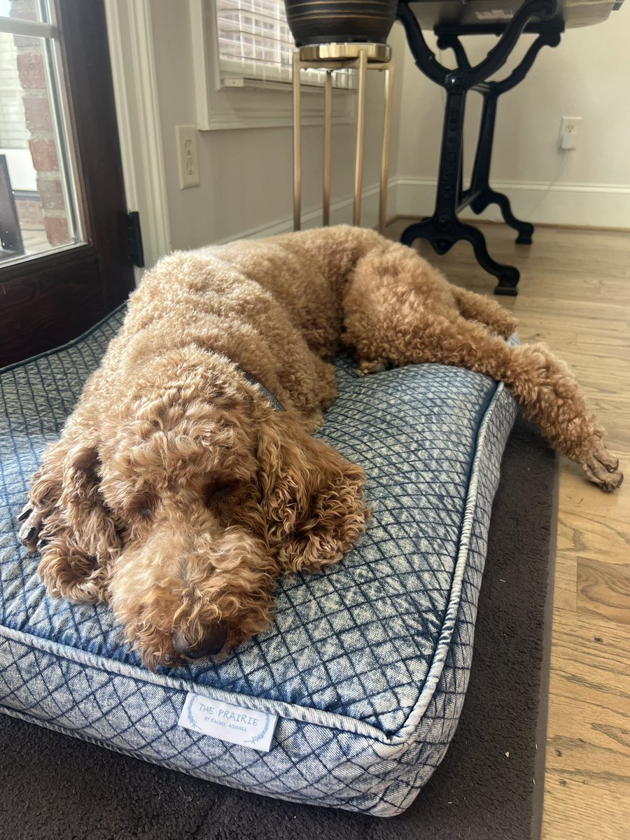 John P Erwin III MD MBA MACC (#BigPoppy ) tweet media