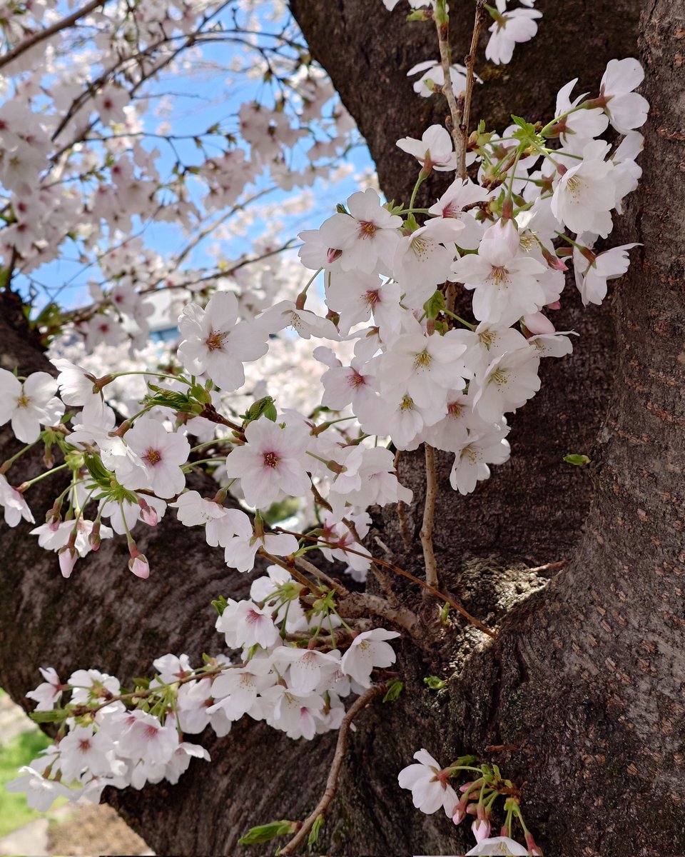 TAKA-KAJI tweet media