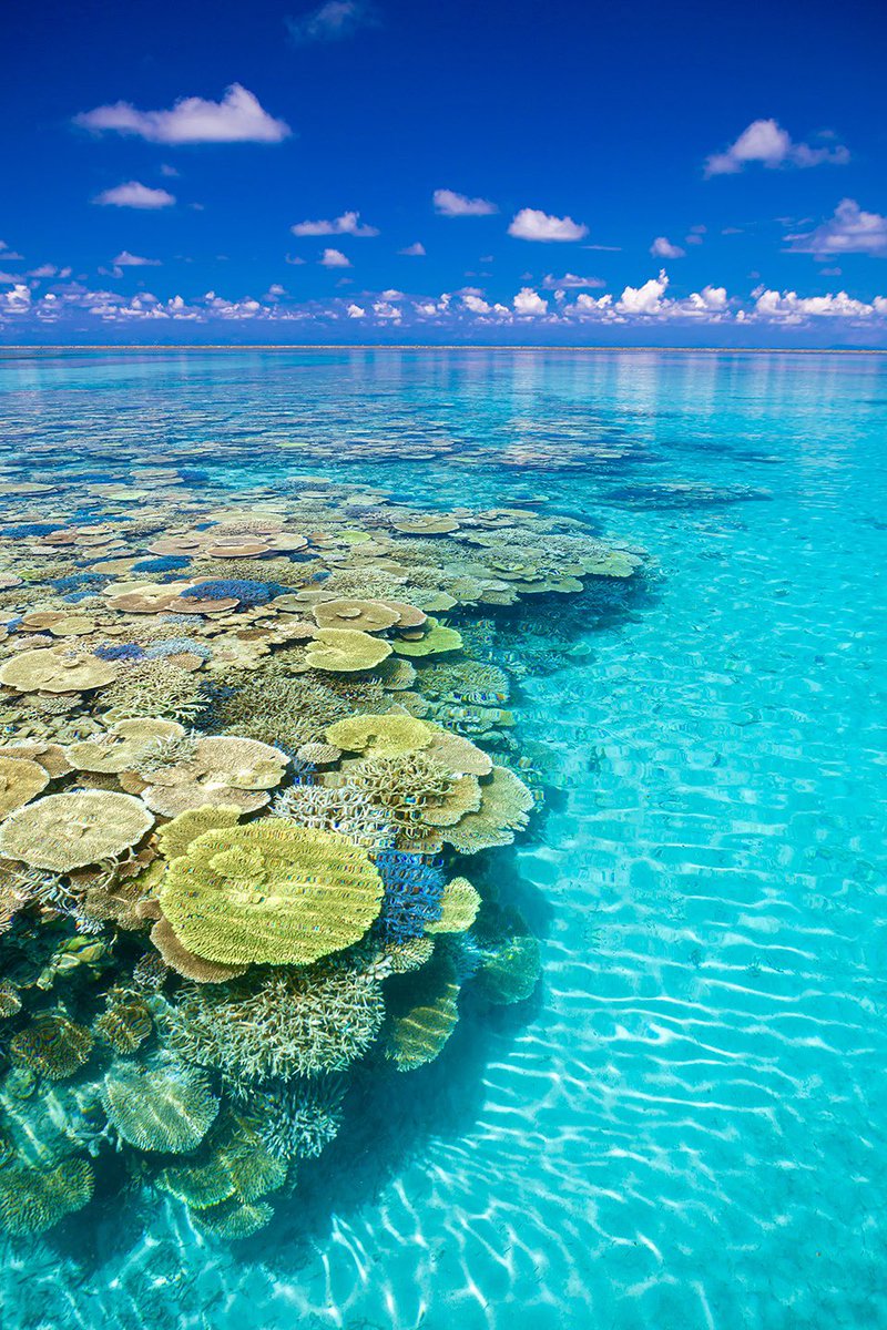 Atsushi 沖縄 Photographer tweet media