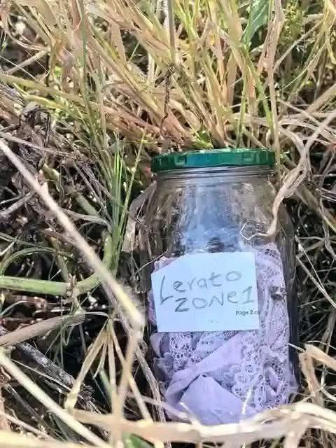 The Instigator tweet media