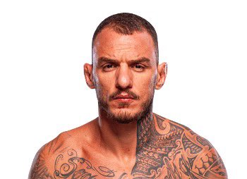 Blind Bear 🐻🕶️ tweet media