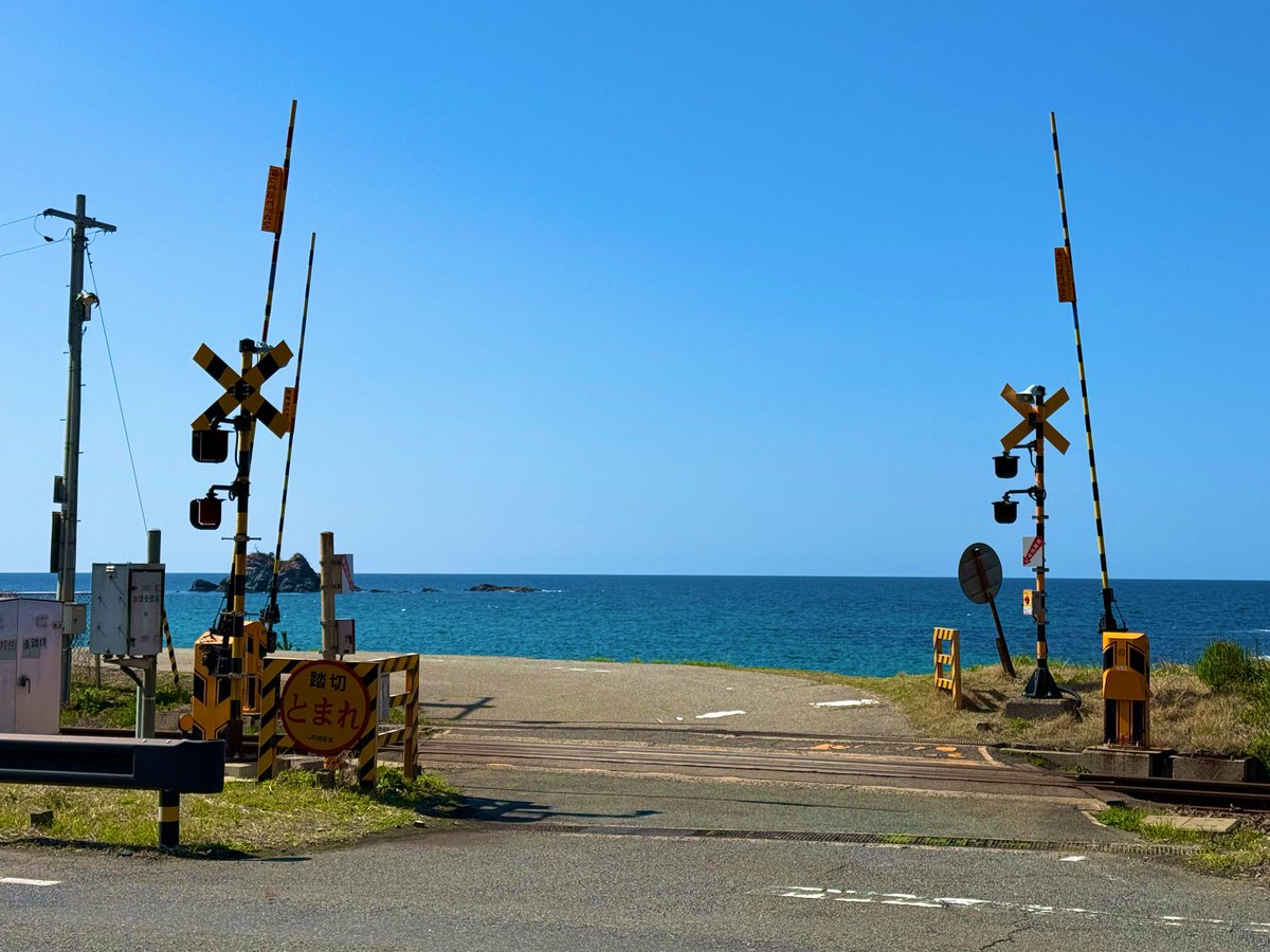 りょた tweet media