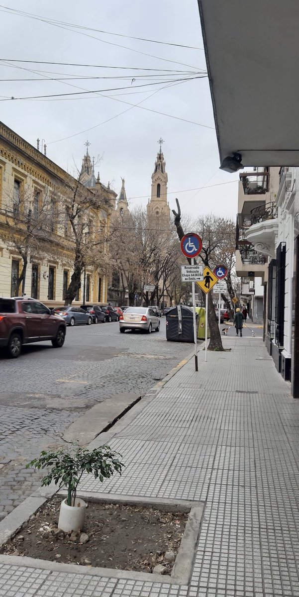 Charles Thays tweet media