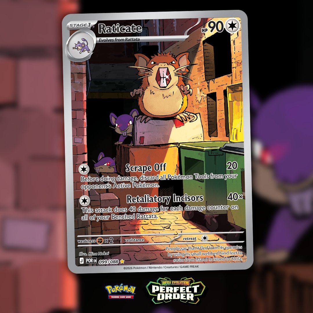 PokemonTCGUK's tweet photo. Oops, wrong turn. Excuse us, Raticate! 🏃 https://t.co/br5qoucW95
