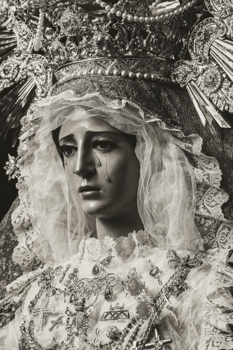 _MiguelGuti_'s tweet photo. … Y la Ciudad hoy echa a andar ⚓️🌿

Se llama Málaga; pero todos le decimos Esperanza.

#CofradíasMLG 

📸 @LMFotosCofrades https://t.co/Pu9LRnmfV7