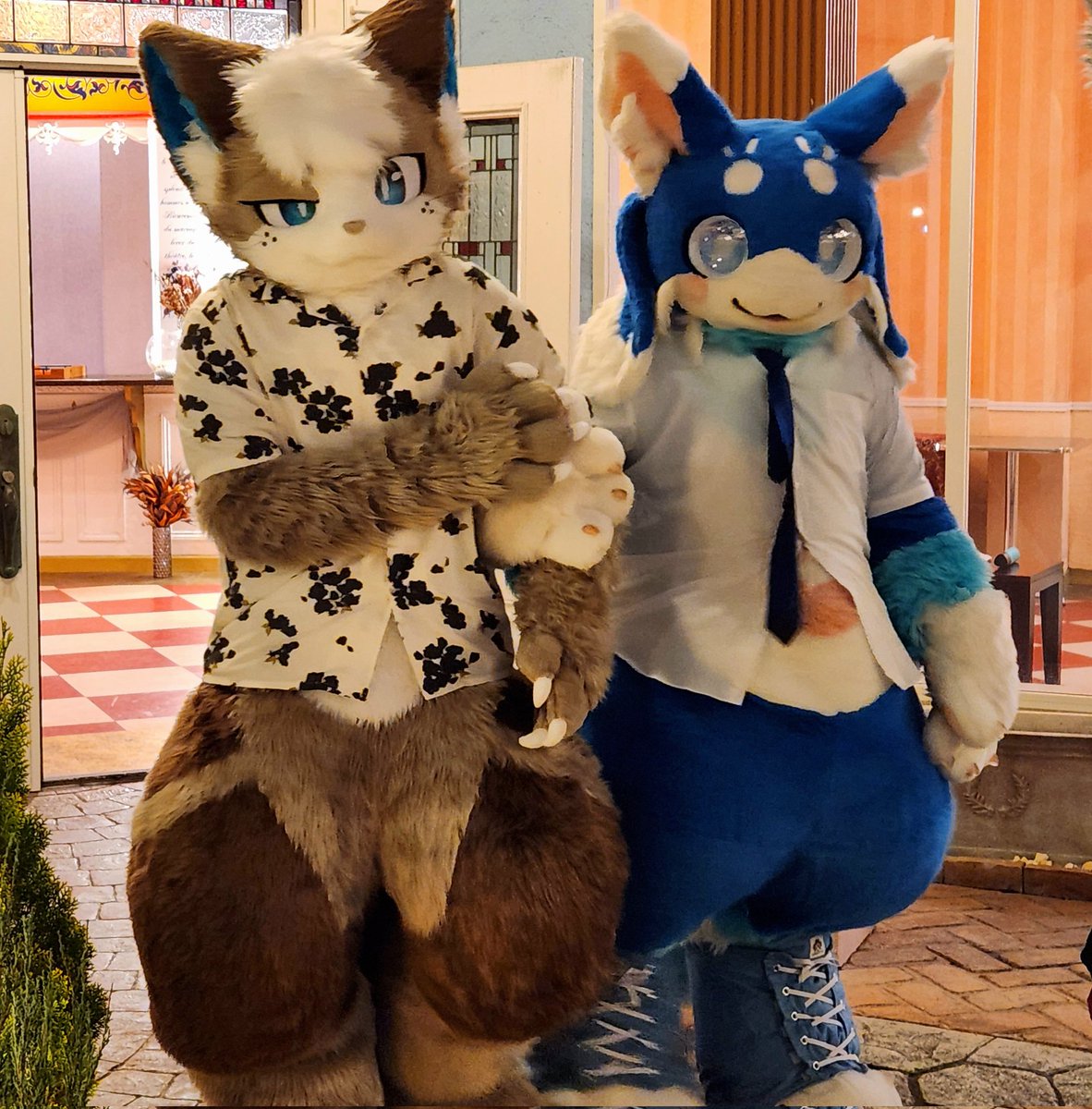 ミキちゃん！
たくさんお話できて嬉しかった〜
後半なんかえらい目にあってた気がするけどかわいいね
#ケモノフォーカス