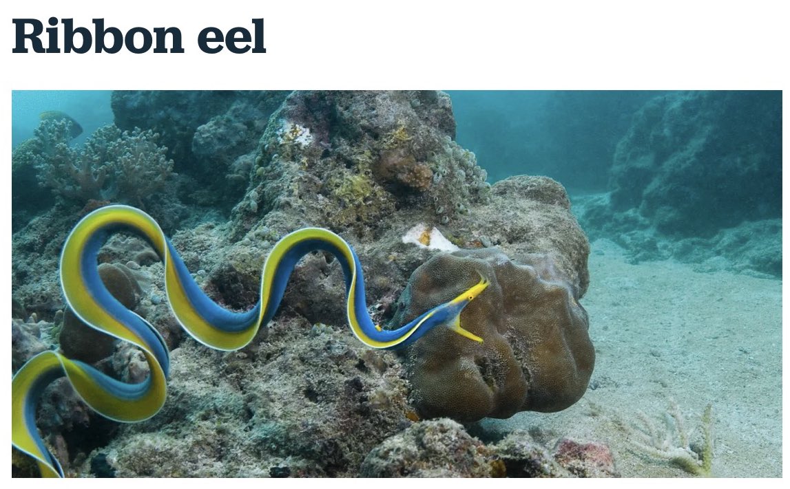 bonita lo thee oracle tweet media