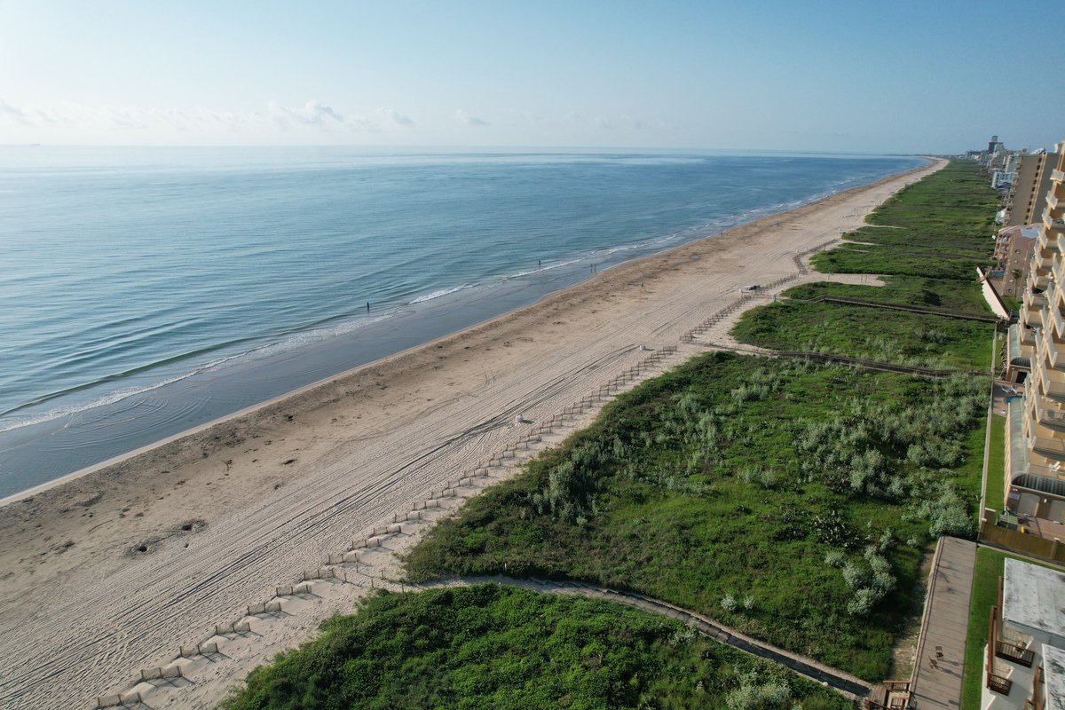 City of South Padre Island tweet media