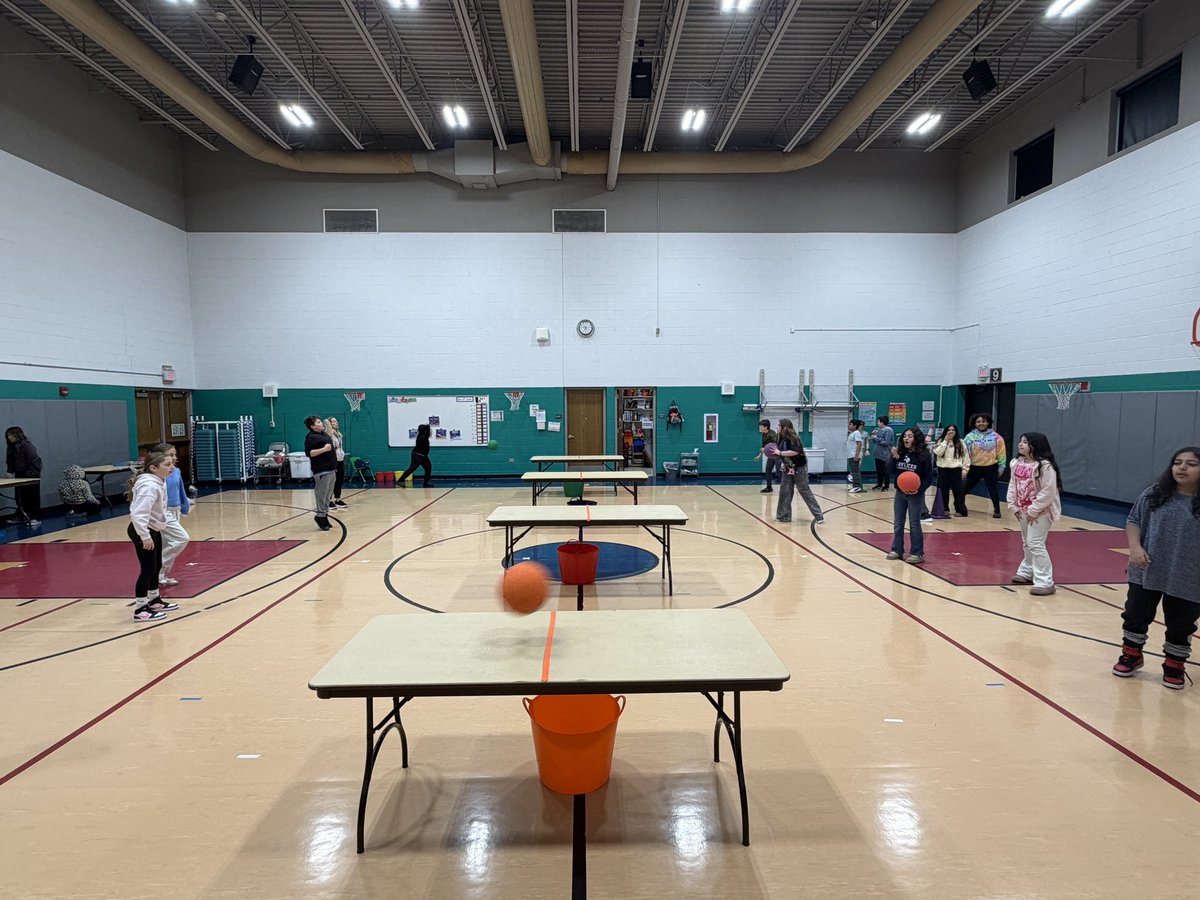BoPhillips10's tweet image. Tournament Day. Who will be the champs at the end of the day? #physed #tablegames #tableball #shuffleboard #D59PE @D59SaltCreek @MrsMetcalf_PE