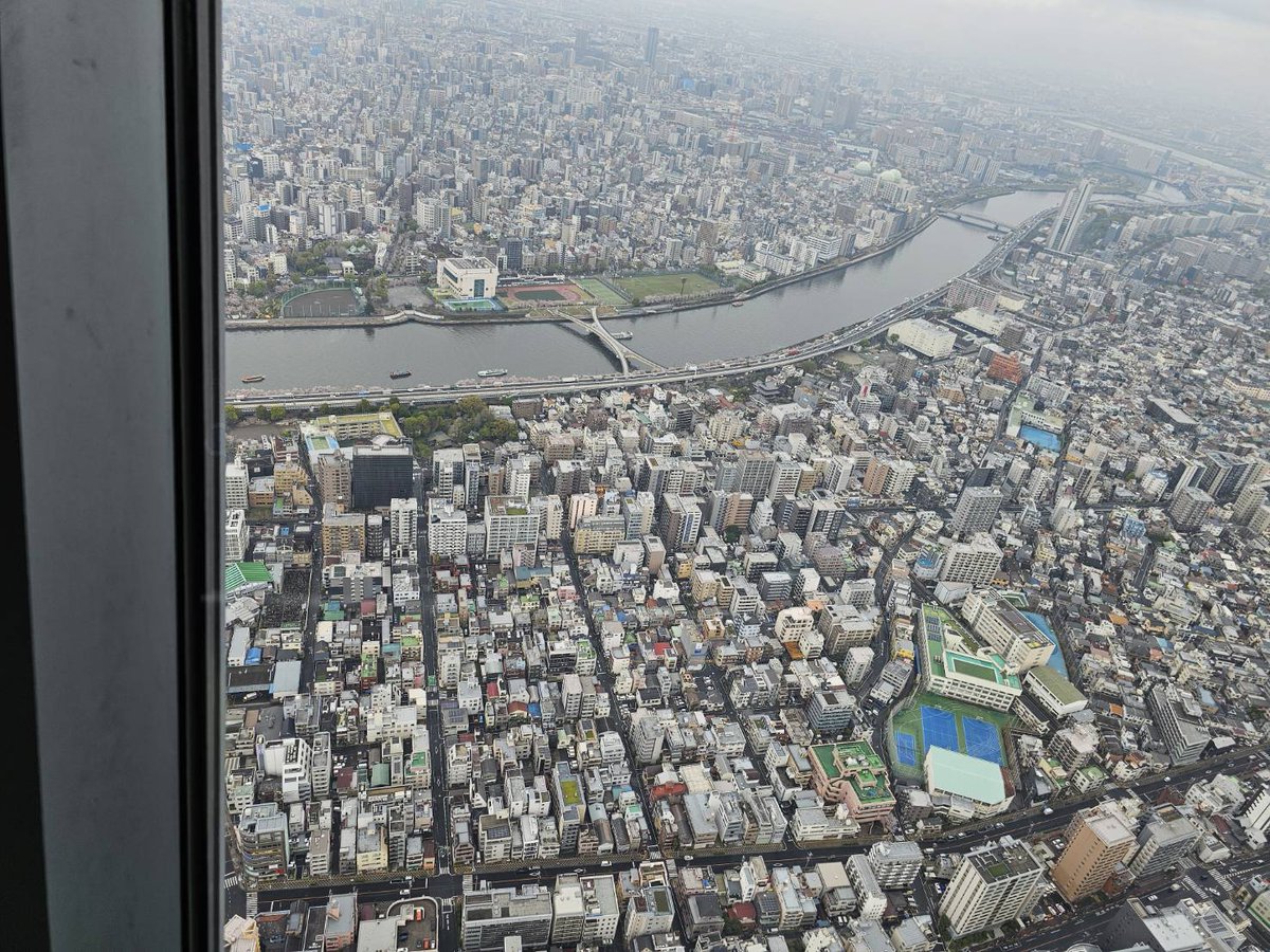 設楽遙斗@最高位戦 tweet media