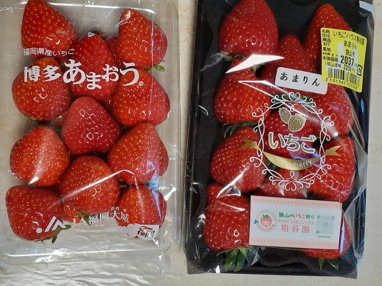 くまひも@ゆるふわ部 tweet media