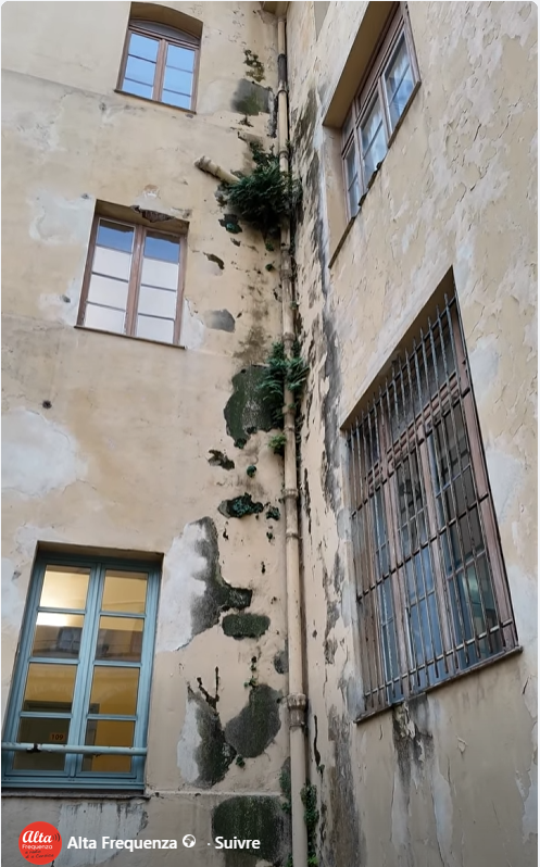 scolaviva's tweet photo. Cité scolaire Fesch : les personnels exigent des actes immédiats pour la sécurité de tous👇 https://t.co/8N330wApJD