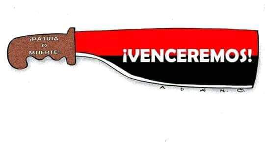 Fidelista 100% tweet media