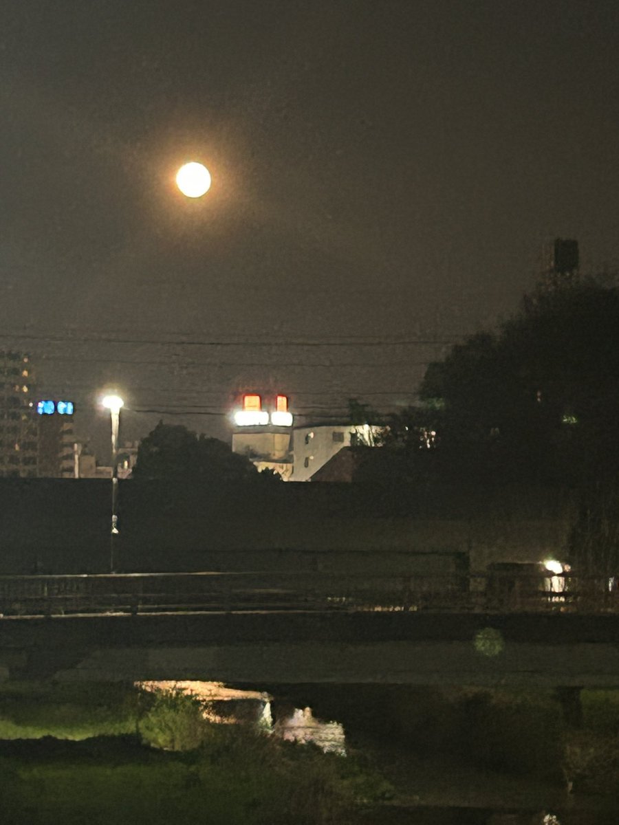 かみまち弓子上町弓子💙💛🕊️東村山市議会議員🌈🕊🌏 tweet media