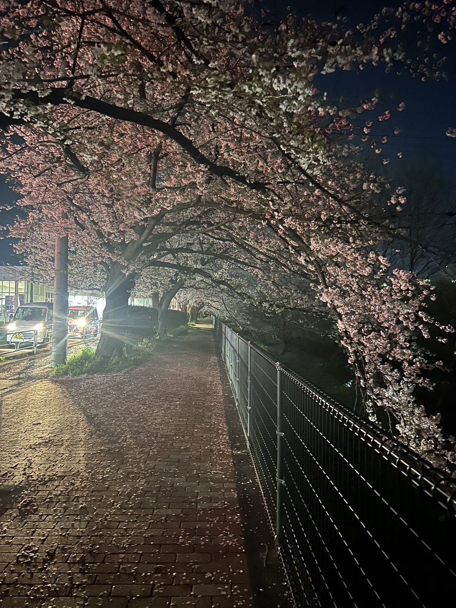 かみまち弓子上町弓子💙💛🕊️東村山市議会議員🌈🕊🌏 tweet media