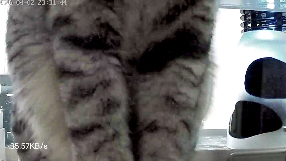 보늬 달래 참외 tweet media